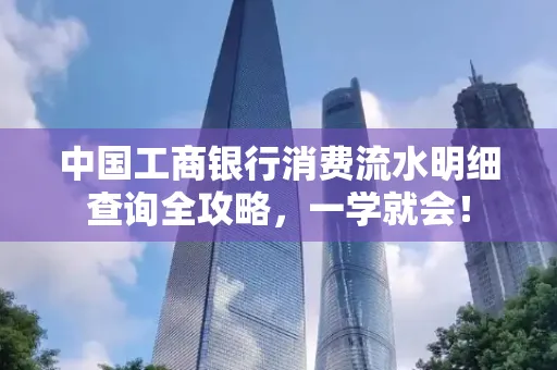 中国工商银行消费流水明细查询全攻略，一学就会！