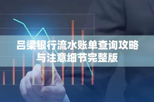 吕梁银行流水账单查询攻略与注意细节完整版