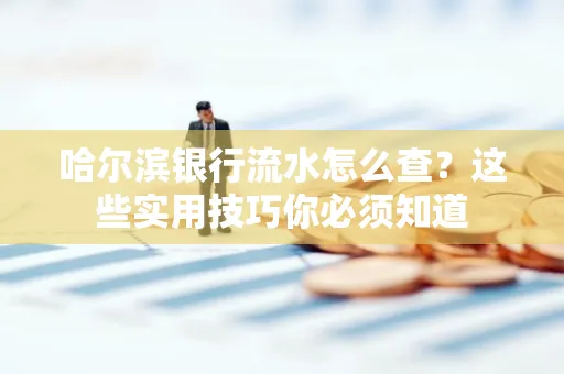 哈尔滨银行流水怎么查？这些实用技巧你必须知道